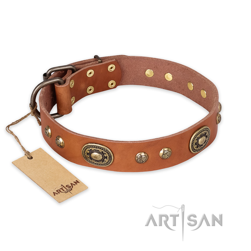'Stunning Dress' Handcrafted FDT Artisan Tan Leather Pitbull Collar - 1 1/2 inch (40 mm) wide