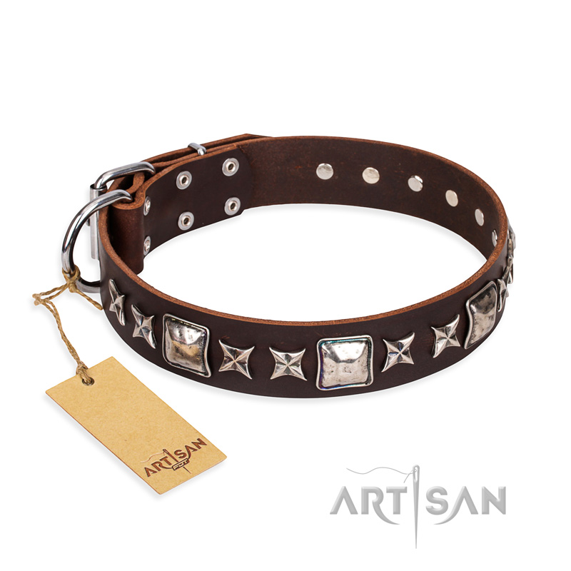 'Perfect Impression' FDT Artisan Brown Leather Pitbull Collar with Silvery Square Studs - 1 1/2 inch (40 mm) Wide