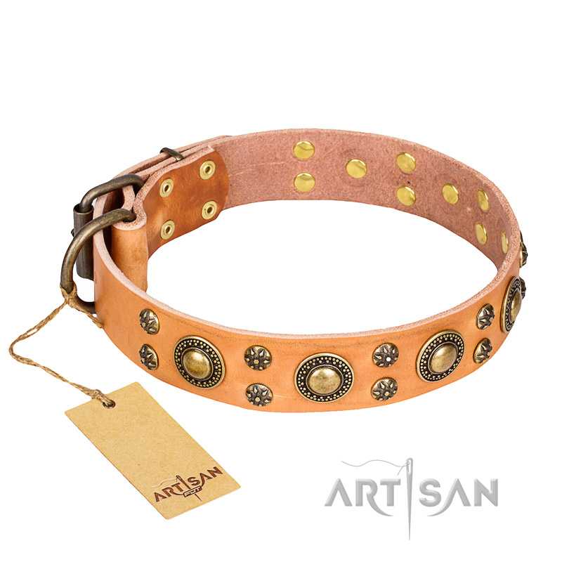 'Sophisticated Glamor' FDT Artisan Pitbull Leather Collar with Old-bronze Plated Adornments