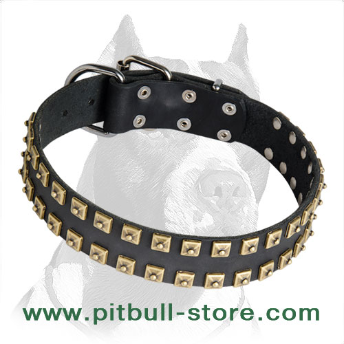 Handcrafted Pitbull Dog Collar Leather - Plus - Studs