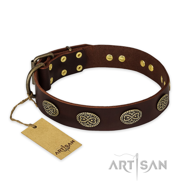 'Chocolate kiss' FDT Artisan Leather Pitbull Collar with Old Bronze Look Oval Plates - Click Image to Close