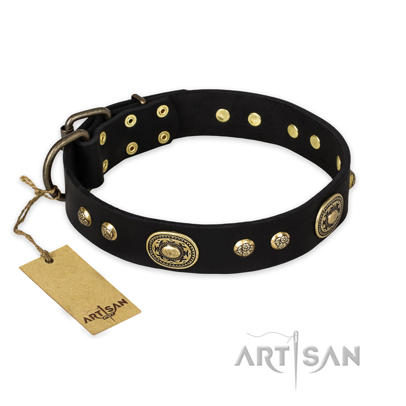 'High Fashion' FDT Artisan Studded with Plates Black Leather Pitbull Collar - Click Image to Close