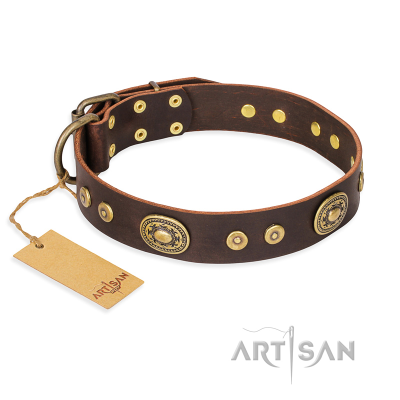 'One-of-a-Kind' FDT Artisan Pitbull Brown Leather Dog Collar with Studs