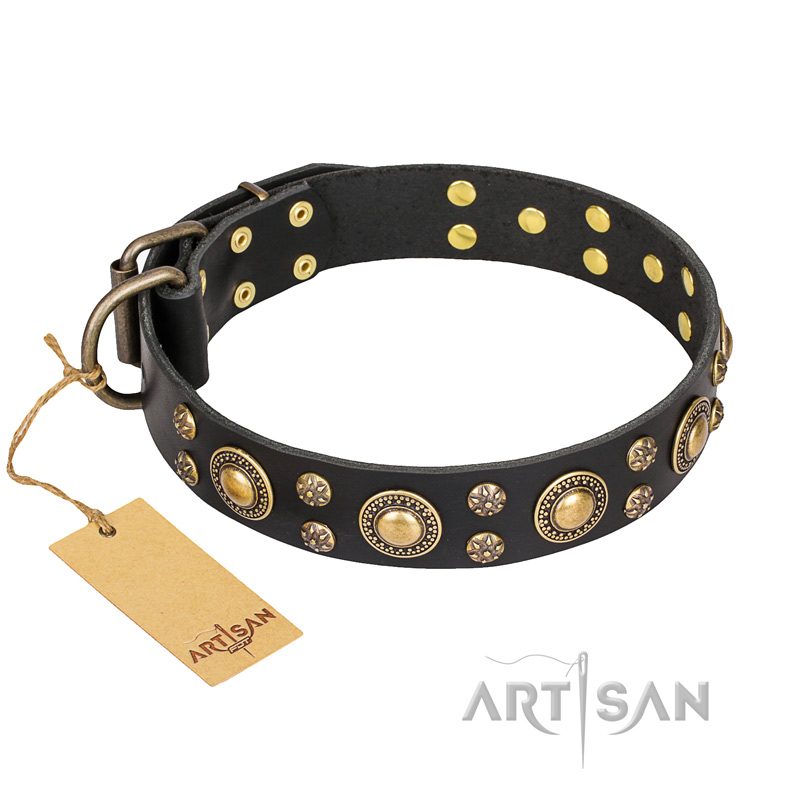 'Baroque Chic' FDT Artisan Pitbull Studded Black Leather Dog Collar
