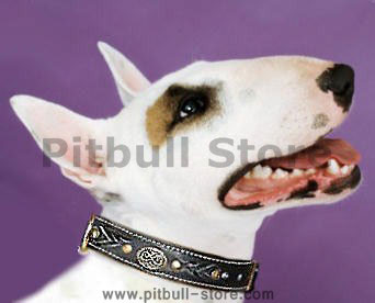 BullTerrier Royal Nappa Padded Hand Made Leather dog collar