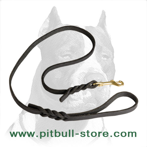 Pitbull Dog Leash Top Notch Quality