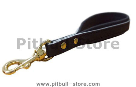 Leather Alternative Short Leashes for Pitbull collar