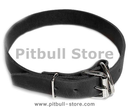 Leather Field Collar for Pitbull