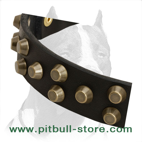 Lovely Leather Pitbull Collar