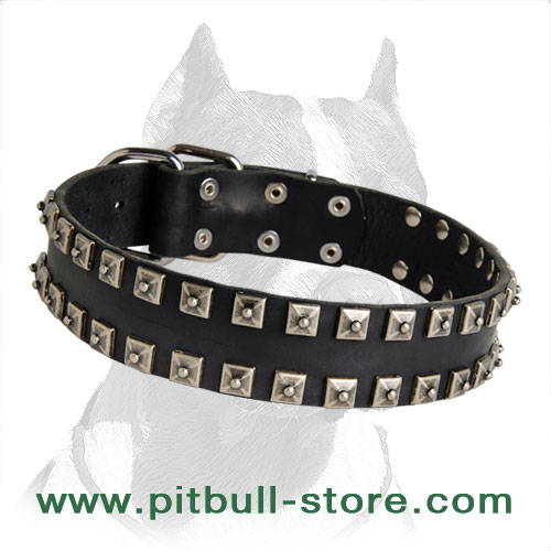 Shiny Leather Pitbull Dog Collar Unususal Design