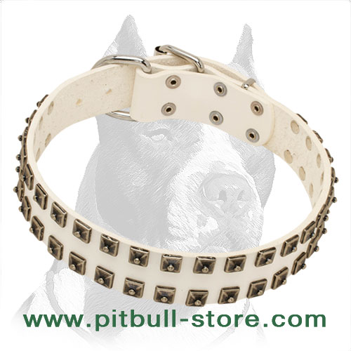 White Leather Pitbull Dog Collar with Square Nickel Studs