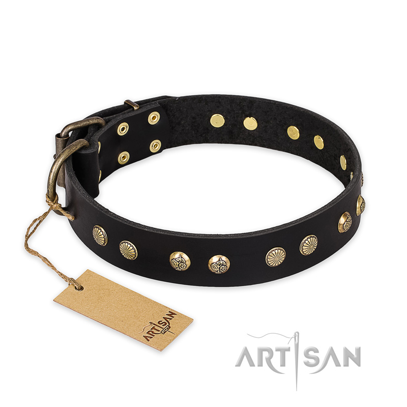'Black Elegance' FDT Artisan Pitbull Leather Dog Collar with Round Studs