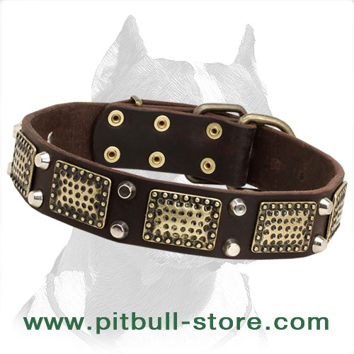 Extra Durable Leather Pitbull Dog Collar with Marvelous Decorations