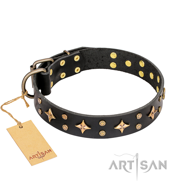 "A La Mode" FDT Artisan Black Genuine Leather Pitbull Collar