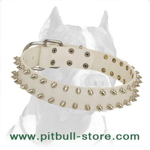 Delicate Pitbull Dog 【Collar】 in White with Two Rows of Spikes