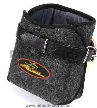 Like Leather Hand Protector for Pitbull training - Click Image to Close