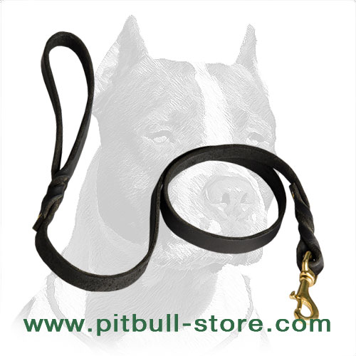 Superb Pitbull Dog Leash with Braided Decoration