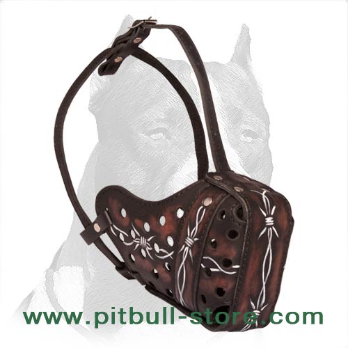 "Barbed Wire" Painted Leather Muzzle for your Pitbull