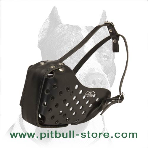 Attack/Agitation Training Leather Muzzle for Pitbull - Click Image to Close