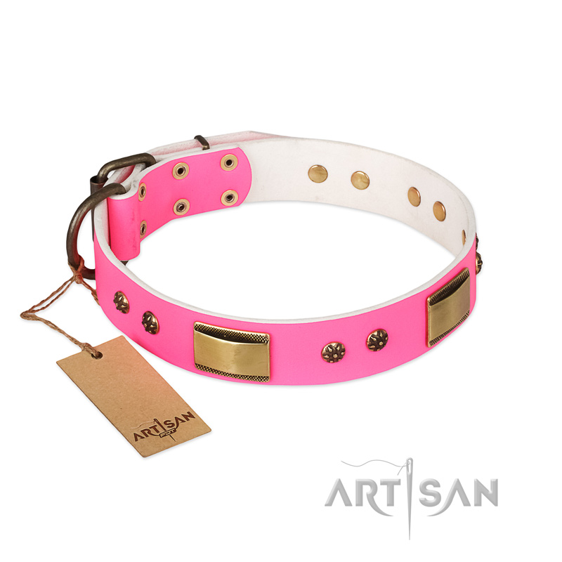 Pink Dreams' FDT Artisan Pitbull Leather Dog 【Collar】 with Adornments 1 1/2  inch (40 mm) wide : Pitbull Breed: Dog Harnesses, Collars, Leashes,  Muzzles, Breed Information and Pictures