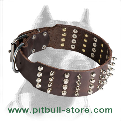 Spiked and Studded Pitbull Dog Collar