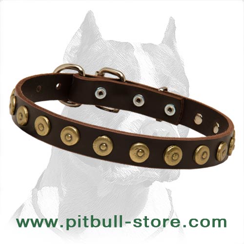 Pit Bull Gorgeous Wide Leather Dog Collar with Dotted Circles - Click Image to Close
