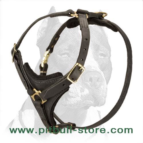 Glamorous Tracking / Walking Dog Harness for Pitbull