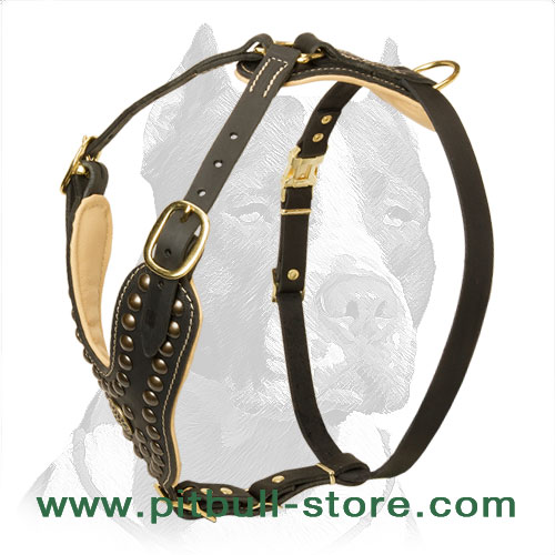 Handmade Studded Leather Dog Harness for Pit Bull - Click Image to Close