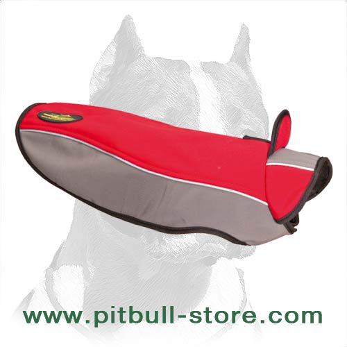 Pitbull Dog Winter Coat with Waterproof and Windproof effects Pitbull Breed Dog Harnesses Collars Leashes Muzzles Breed Information and Pictures 2024 BUY NOW
