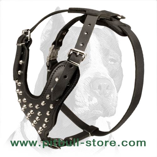Studded/Pyramids Leather Dog Harness for PitBull