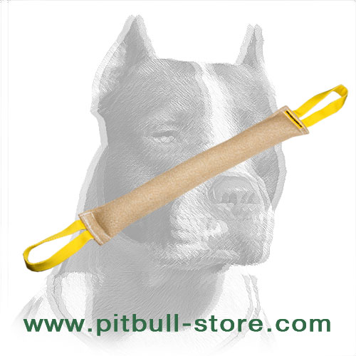 pitbull tug