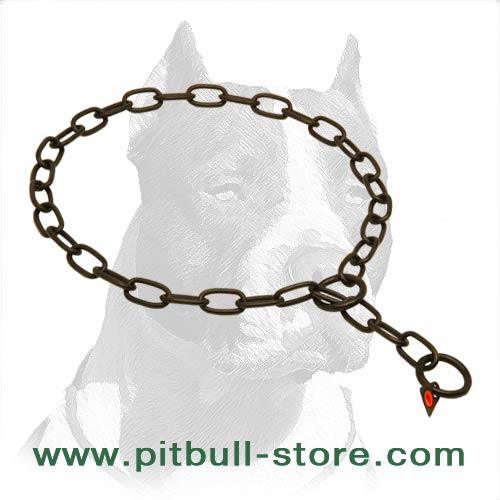 Best-Fitted Pitbull Dog Steel Collar