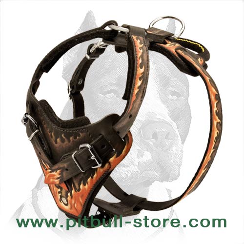 Pitbull Hand-painted Leather Harness for Agitation/Protection work