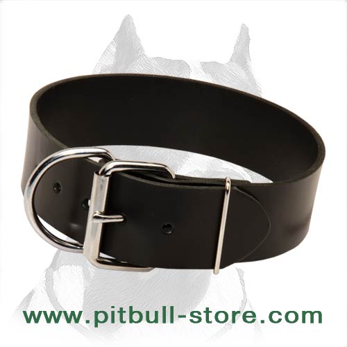 2 inch Wide Leather Pitbull Dog Collar - Click Image to Close