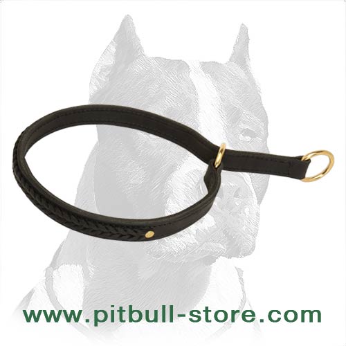 Fashion 2 Ply Leather Choke Dog Collar with Braid