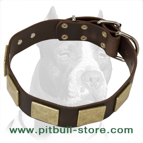 Handcrafted Leather Dog Collar With Vintage Massive Plates - Click Image to Close