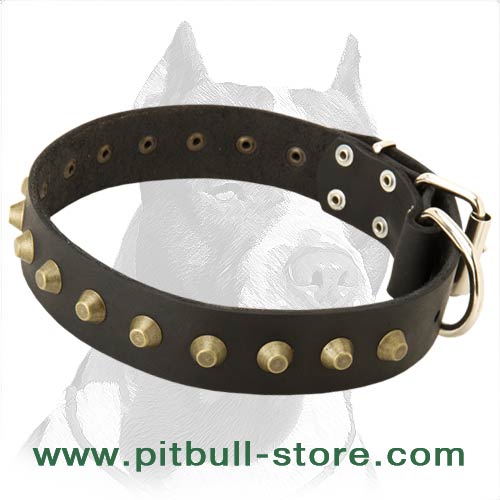 Gorgeous Wide Leather Dog Collar with Brass Decoration