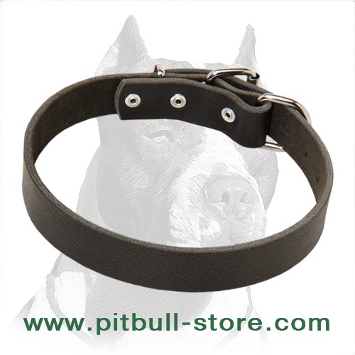 Adjustable Leather Collar with Nickel-plated Hardware for Pitbull