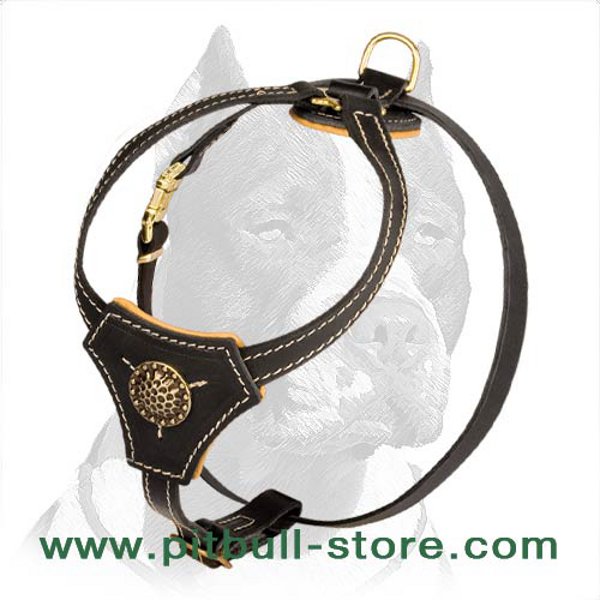 Durable and Fashionable Leather Harness for Pitbull Puppy