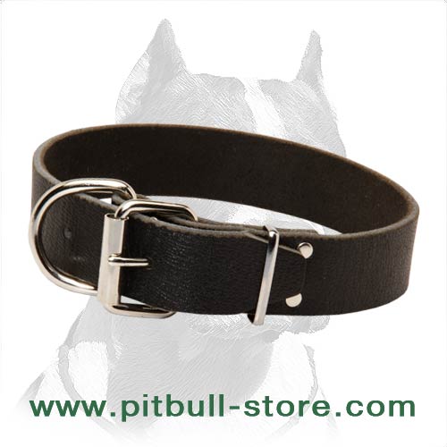 Leather Dog Collar 1 1/2 inch (40 mm) wide for Pitbull