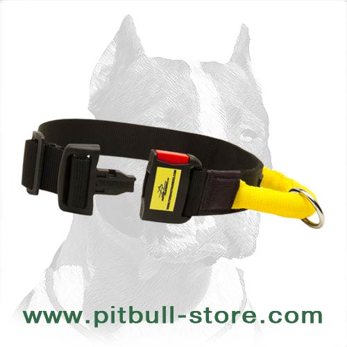 Order All Weather Nylon Amstaff Collar