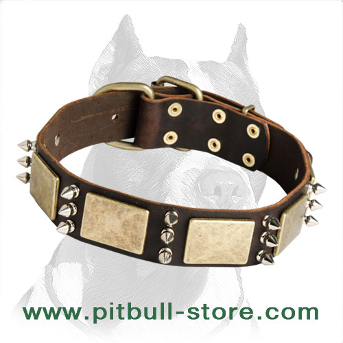 Gorgeous War Style Leather Dog Collar with massive bras plates+3 spikes