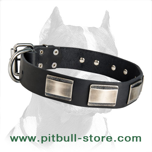 Designer Dog 【Collar】 adorned with massive carved plates for