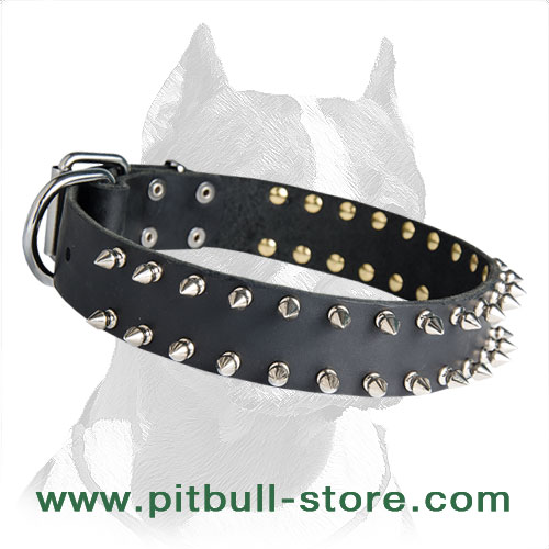 Top class Leather Spiked Collar for your Pitbull