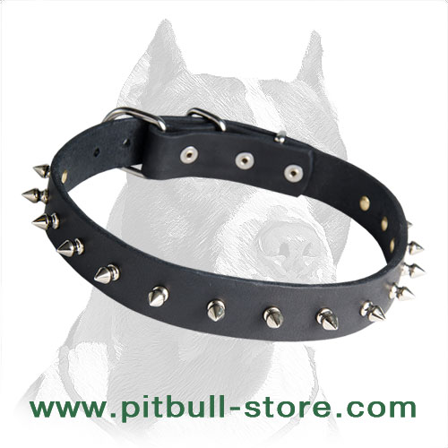 A New Fancy Leather Spiked Collar for Pitbull Breed