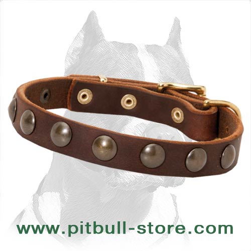 Leather Collar with Brass Studs