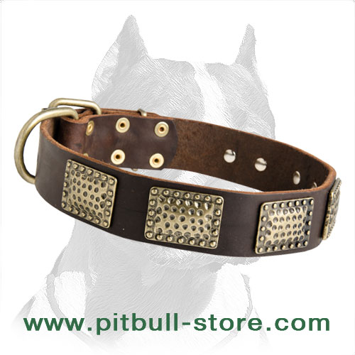Extravagant Leather Dog Collar with Plates for Walking Pitbull