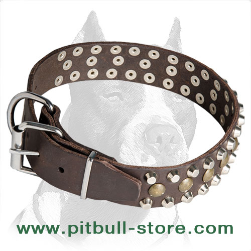 Studded Pitbull Dog 【Collar】 for Daily Walks Pitbull Breed Dog