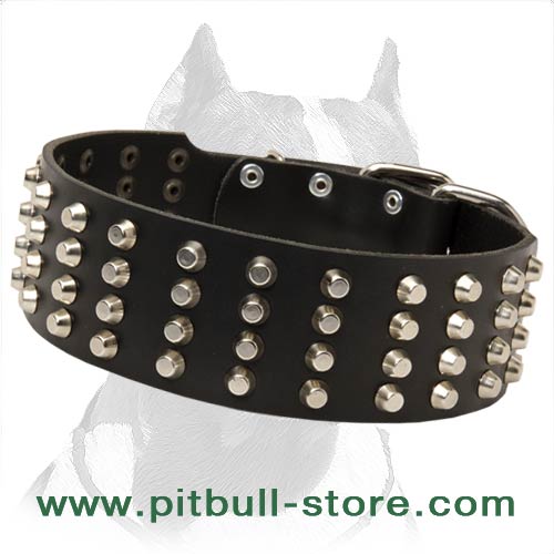 Wide Studded Leather Dog Collar for Pitbull