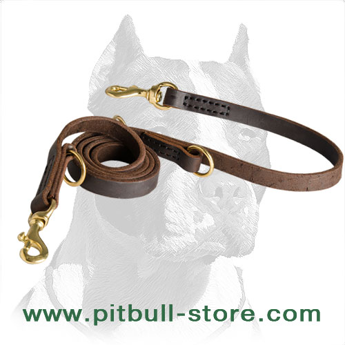 Dog leash sales with two hooks